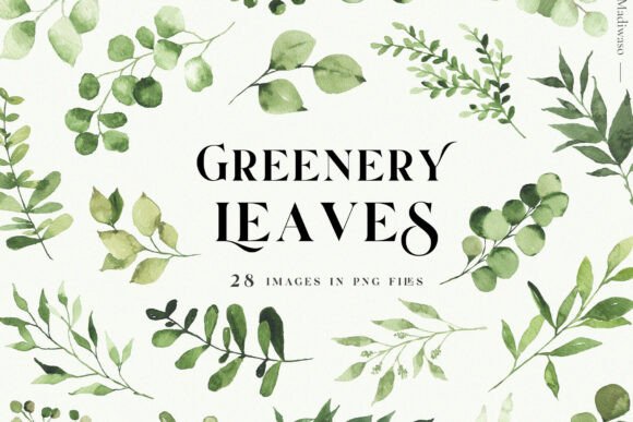Download Green Leaves Watercolor Clipart Foliage - Clipart Collection